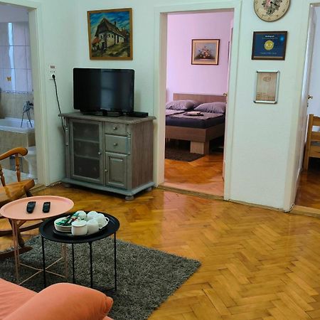 Trosoban Stan U Zenici Apartment Zenica Luaran gambar